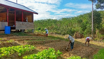 RLU dan IDH, Memberdayakan Masyarakat di Sekitar Kawasan Hutan Kabupaten Tebo