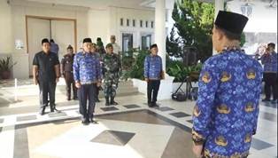 adv8mei.jpg