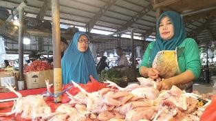Harga Daging Ayam di Anjlok Jambi,  Daya Beli Masyarakat Melemah
