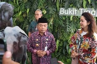 bukit.jpg