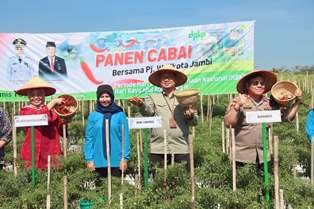 cabe333.jpg