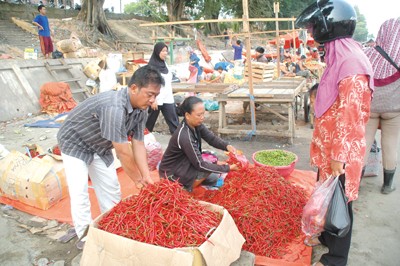Harga Cabe Naik Gubernur Jambi Instruksikan Operasi Pasar Jelang Nataru