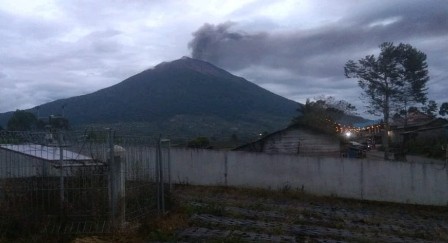 gkinci1.jpg