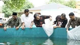 ikan.jpg