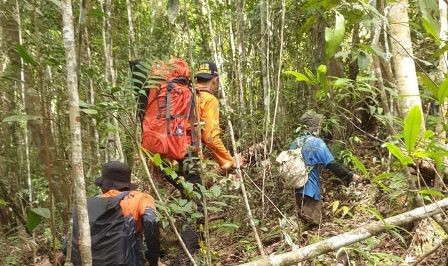 Basarnas Jambi Hentikan Pencarian Kakek Sidi Sepekan Hilang  di Hutan Kayu Manis  Kabupaten Kerinci