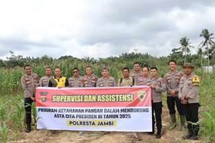 jagung21.jpg