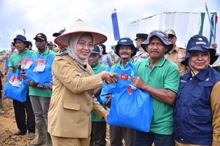 jagung3.jpg