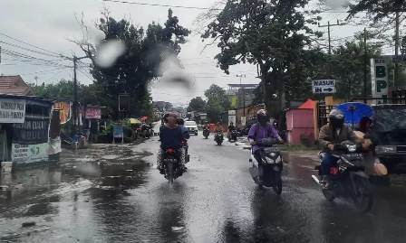 jalan1.jpg
