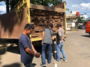 Polda Jambi Amankan Pengangkut Kayu Ilegal