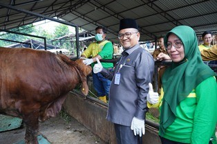 Idul Adha 1444 H Pemkot Jambi Potong 234 Hewan Kurban