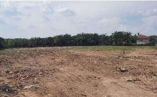 lahan1.jpg