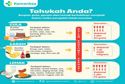 nasi11.jpg