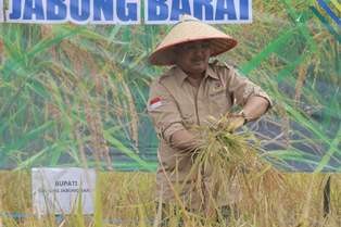 panen1.jpg