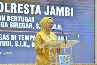 pjkota11.jpg