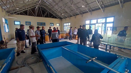 Desa Lopak Alai Bersiap Jadi Sentra Pembibitan Patin