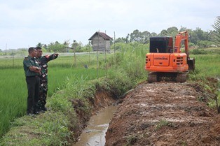sawah.jpg