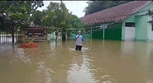 smk5.jpg