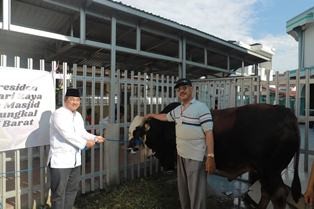 tanjab14.jpg