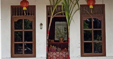 tebu.jpg